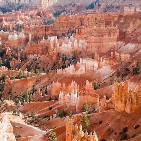 Summers Love Near Zion Np Вашингтон Екстер'єр фото