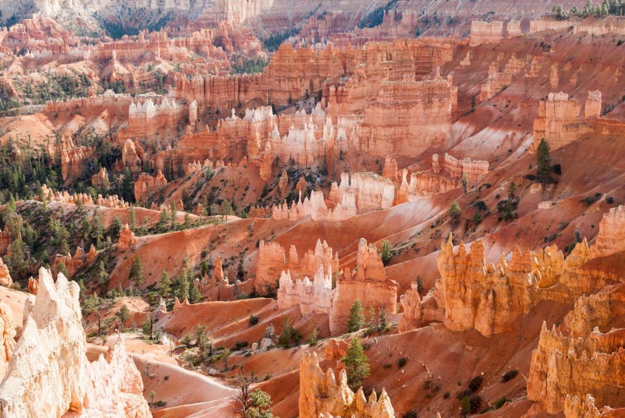Summers Love Near Zion Np Вашингтон Екстер'єр фото