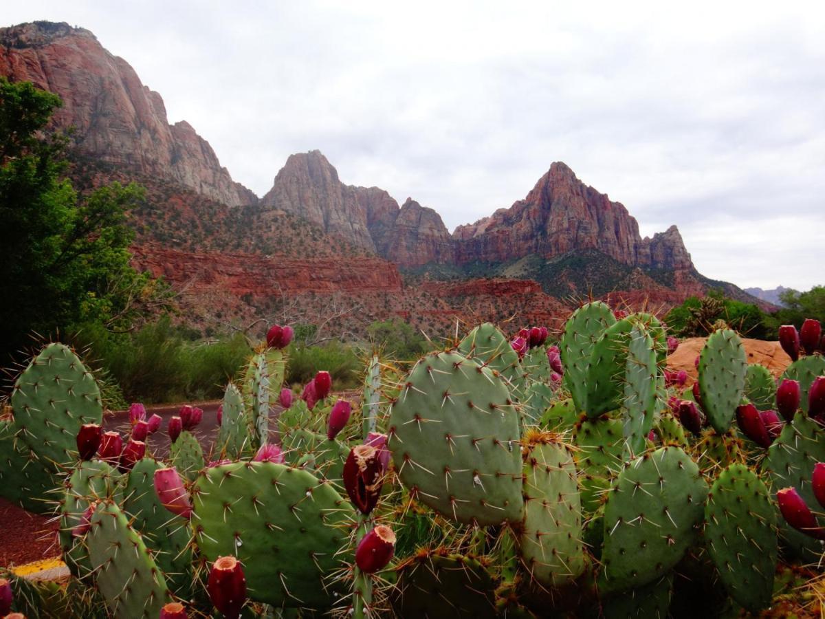 Summers Love Near Zion Np Вашингтон Екстер'єр фото